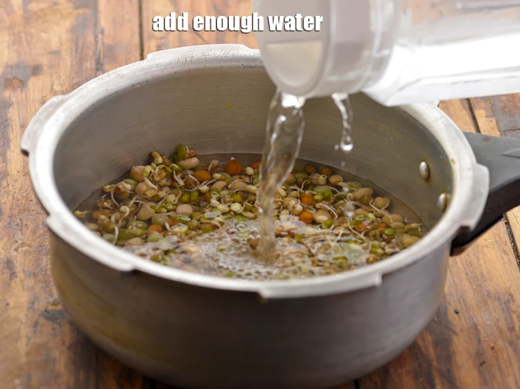 Step 4 – <p>Add enough <strong>water</strong>.&nbsp;</p>