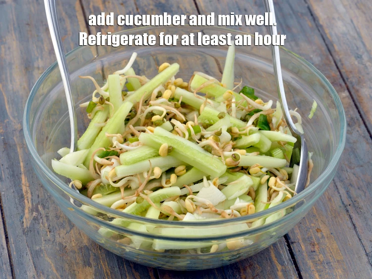 Step 8 – <p>Add <span style="background-color:rgb(255,255,255);color:rgb(0,0,0);">1 1/2 cups </span><a href="https://www.tarladalal.com/glossary-cucumber-kakadi-kheera-321i"><u>cucumber </u></a><span style="background-color:rgb(255,255,255);color:rgb(0,0,0);">sliced lengthwise into halves , deseeded and …