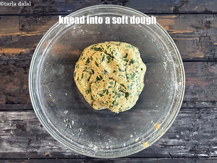 Step 17 – <p>Knead into a soft dough.</p>