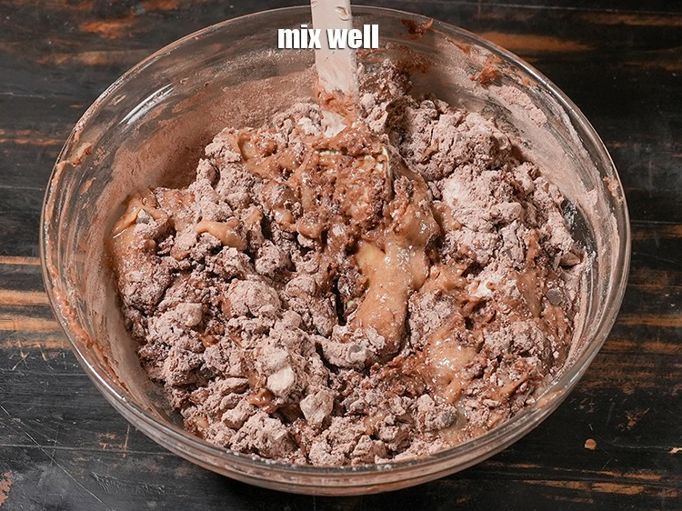 Step 13 – <p><span style="background-color:rgb(255,255,255);color:rgb(0,0,0);">Mix well.</span></p>