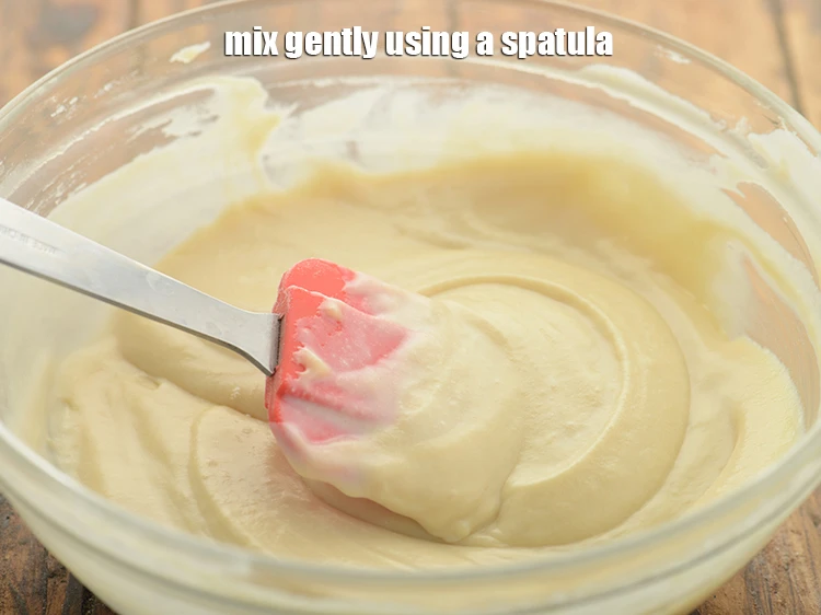 Step 14 – <p><span style="background-color:rgb(255,255,255);color:rgb(0,0,0);"><strong>Mix gently</strong> using a spatula.</span></p>