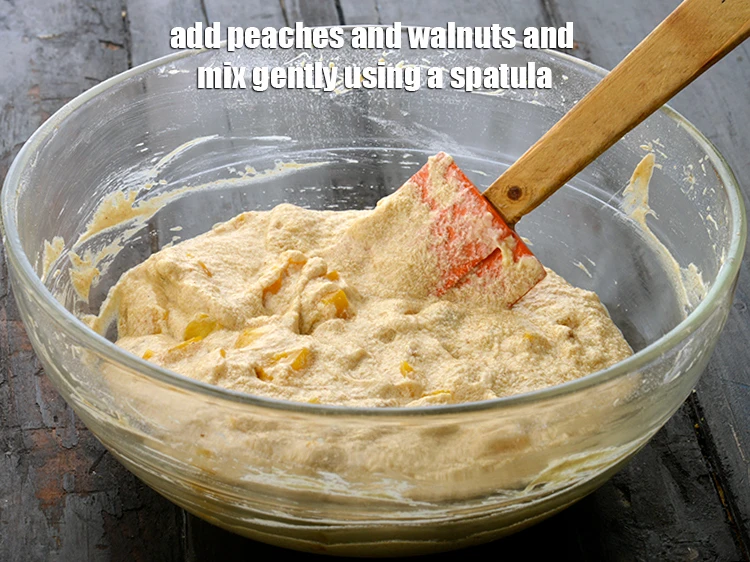 Step 8 – <p><span style="background-color:rgb(255,255,255);color:rgb(0,0,0);">Add the </span>1/2 cup chopped <a href="https://www.tarladalal.com/glossary-canned-peaches-85i"><u>canned peaches</u></a><span style="background-color:rgb(255,255,255);color:rgb(0,0,0);"> and </span>1/4 cup <a href="https://www.tarladalal.com/glossary-walnuts-akhrot-784i#ing_3224"><u>chopped …