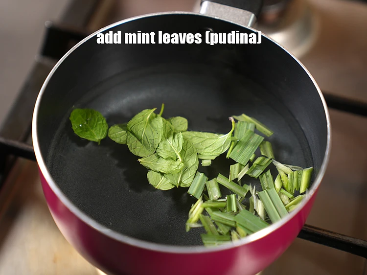 Step 4 – <p style="margin-left:0px;">Add 6 <a href="https://www.tarladalal.com/glossary-mint-leaves-pudina-phudina-521i"><u>mint leaves (pudina)</u></a><u>.</u></p>