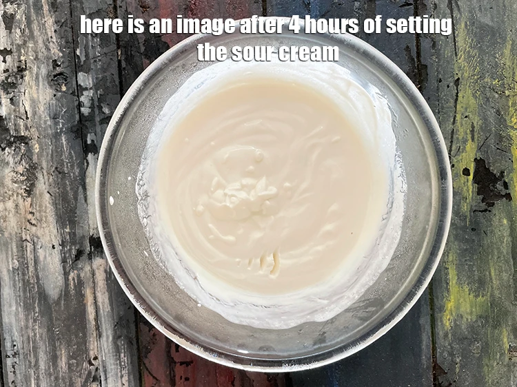 Step 14 – <p>Here is an image after 4 hours of setting the sour cream.&nbsp;</p>