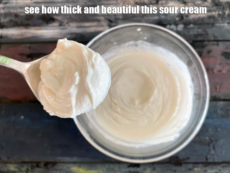 Step 15 – <p>See how thick and beautiful this <strong>Indian style sour cream | &nbsp;sour cream made with …