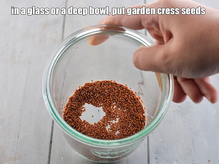 Step 1 – <p>Place the <strong>halim or haleem (garden cress seeds)</strong> in a glass or a deep bowl. …