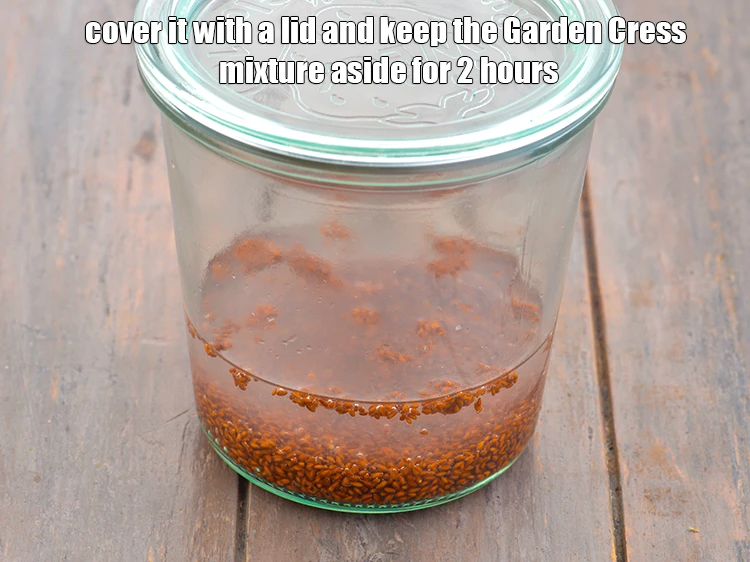 Step 4 – <p>Cover it with a lid and keep the <strong>Garden Cress</strong> mixture aside for 2 hours.</p>