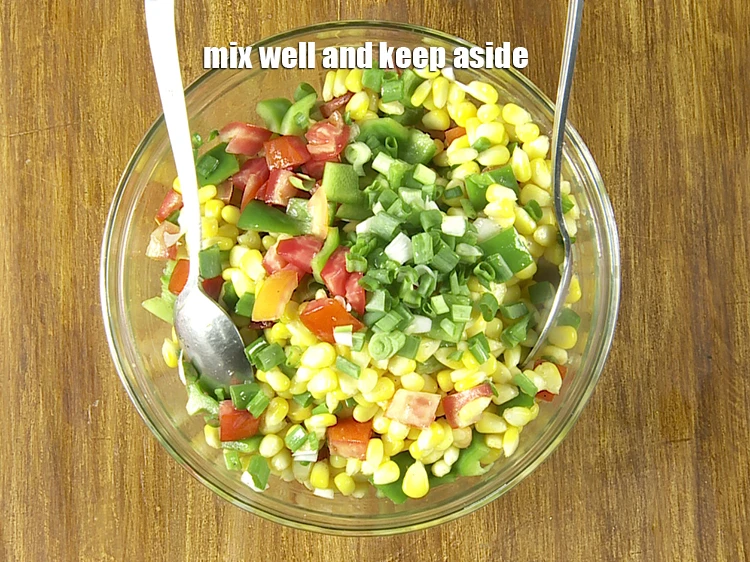 Step 13 – <p>Mix well and keep aside.</p>