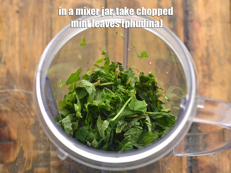 Step 12 – <p>For preparing a refreshing mint dressing, in a mixer jar, take 1/2 cup <a href="https://www.tarladalal.com/glossary-mint-leaves-pudina-phudina-521i#ing_2368"><u>chopped …
