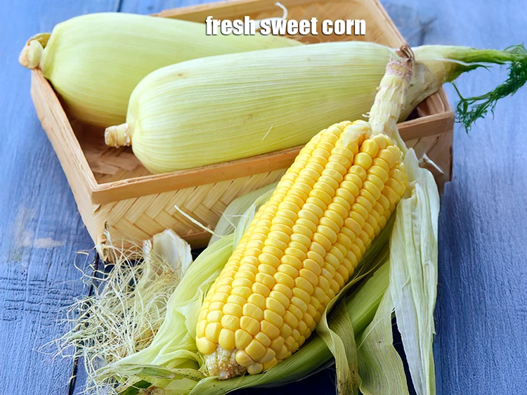 Step 2 – <p>If you have the entire <strong>corn cob</strong> then first remove and discard the green outer …