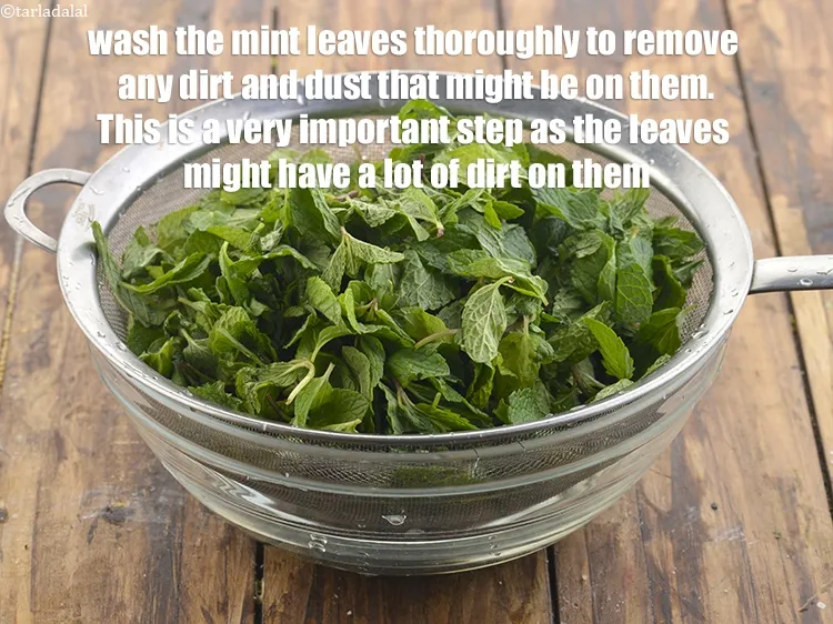 Step 3 – <p><span style="background-color:rgb(255,255,255);color:rgb(0,0,0);"><strong>Wash </strong>the <strong>mint leaves</strong> thoroughly to remove any dirt and dust that might be …