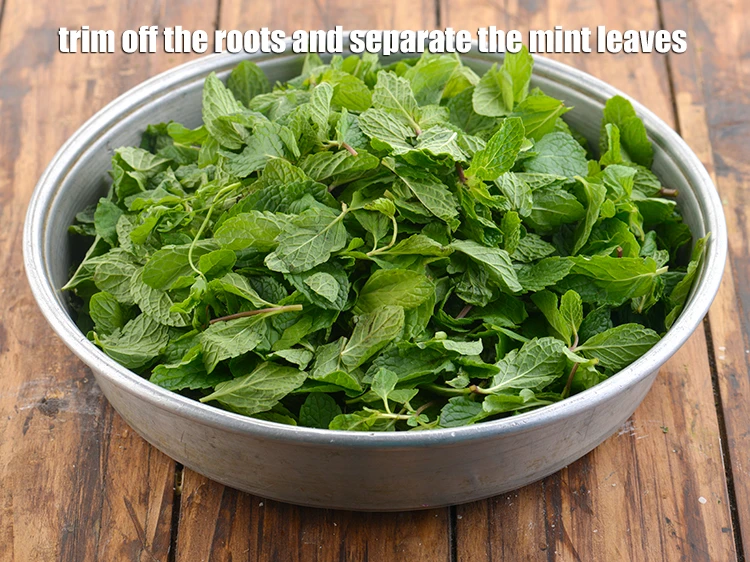 Step 17 – <p><span style="background-color:rgb(255,255,255);color:rgb(0,0,0);">Pick the mint leaves from the stems and discard the stems.</span></p>