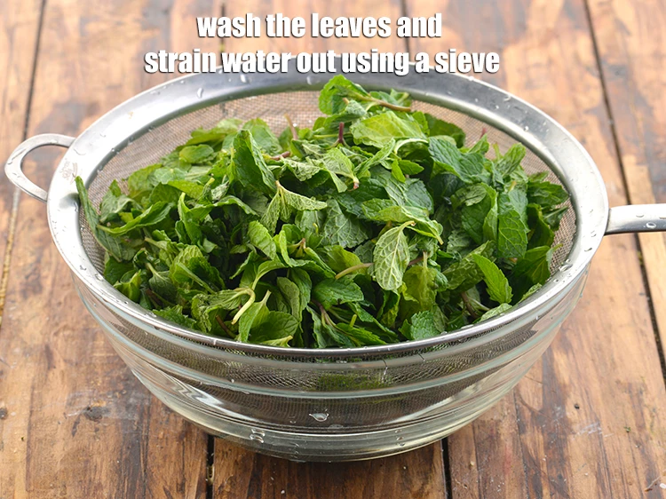 Step 18 – <p><span style="background-color:rgb(255,255,255);color:rgb(0,0,0);">Wash the mint leaves thoroughly to remove any dirt and dust that might be …