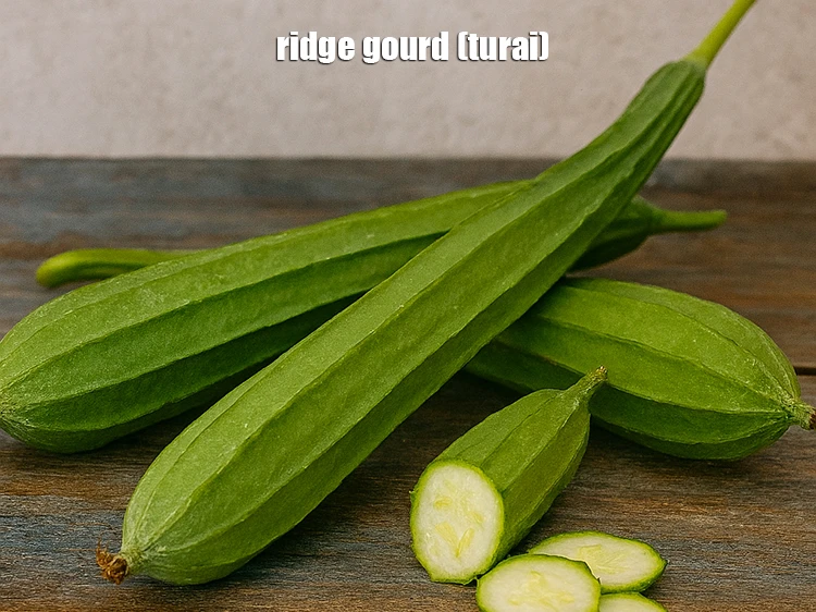 Step 3 – <html><head><meta charset="UTF-8"> </head><body><p>This is what <a href="https://www.tarladalal.com/glossary-ridge-gourd-turai-turiya-604i"><u>ridge gourd (turai)</u></a> look like.</p></body></html>
