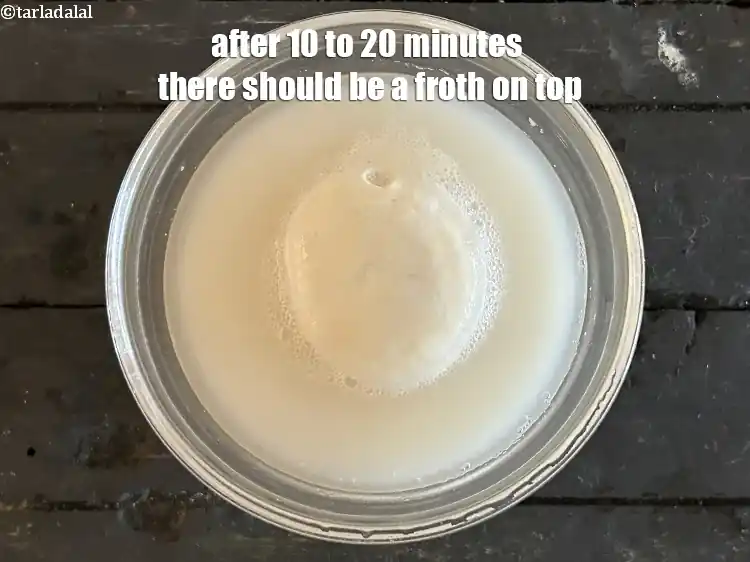Step 22 – <p>After 10 to 20 minutes&nbsp;<strong>there should be a froth on top.&nbsp;</strong><i><u>If there is not then …