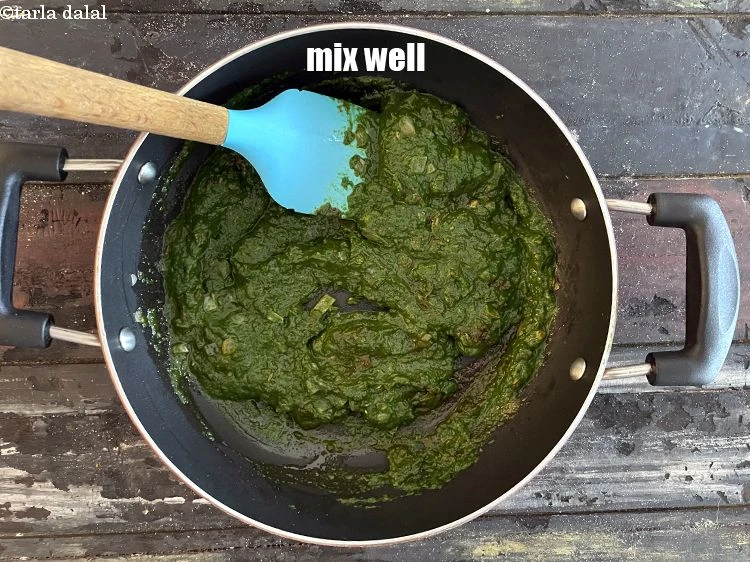 Step 22 – <p>Mix well.</p>