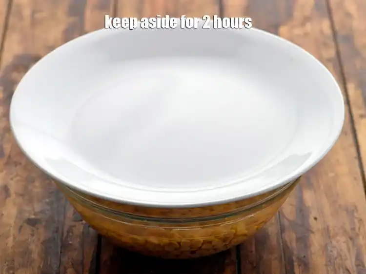 Step 2 – <p><span style="background-color:rgb(255,255,255);color:rgb(0,0,0);">Keep aside for 2 hours.</span></p>