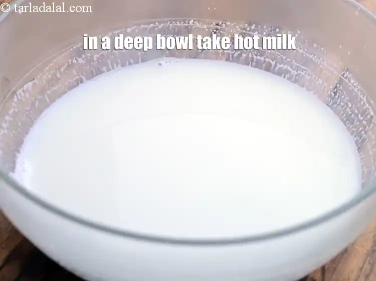 Step 2 – <html><head></head><body><p>To make <strong>hot bournvita milk, </strong>in a deep bowl take 2 cups hot <a href="https://www.tarladalal.com/glossary-milk-doodh-full-cream-milk-514i"><u>milk</u></a> …