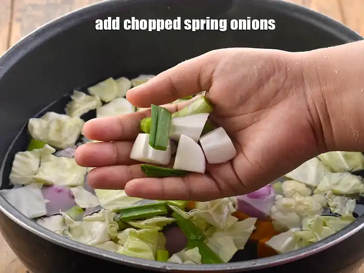 Step 8 – <p>Finally add the 2 tbsp <a href="https://www.tarladalal.com/glossary-spring-onion-hara-pyaz-443i#ing_2475"><u>chopped spring onions</u></a>.</p>