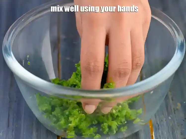 Step 5 – <p>Mix well using your hands. Keep aside for 2 to 3 minutes so the salt …