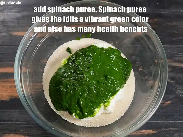 Step 5 – <p><span style="background-color:rgb(255,255,255);color:rgb(0,0,0);">Add ½ cup </span><a href="https://www.tarladalal.com/glossary-spinach-puree-palak-ki-puree-256i"><u>spinach (palak) puree</u></a><span style="background-color:rgb(255,255,255);color:rgb(0,0,0);">. Spinach puree gives the idlis a …