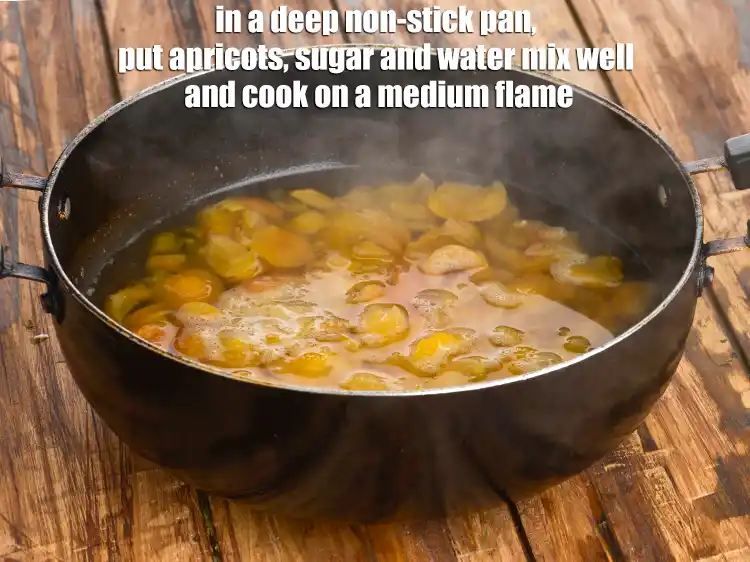 Apricot Sauce Recipe (Apricot Puree)