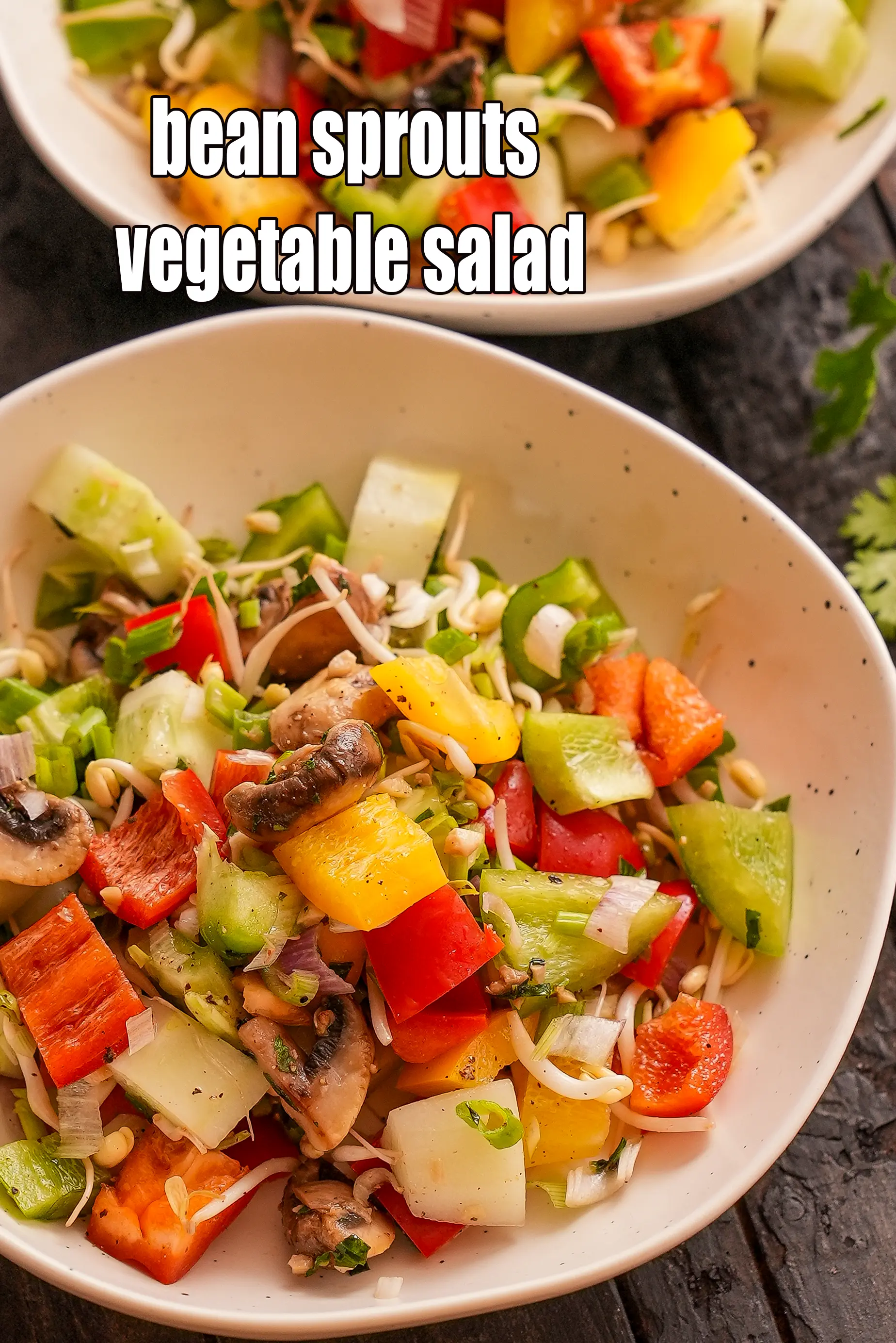 bean sprouts vegetable salad recipe | bean sprouts dill and capsicum salad |