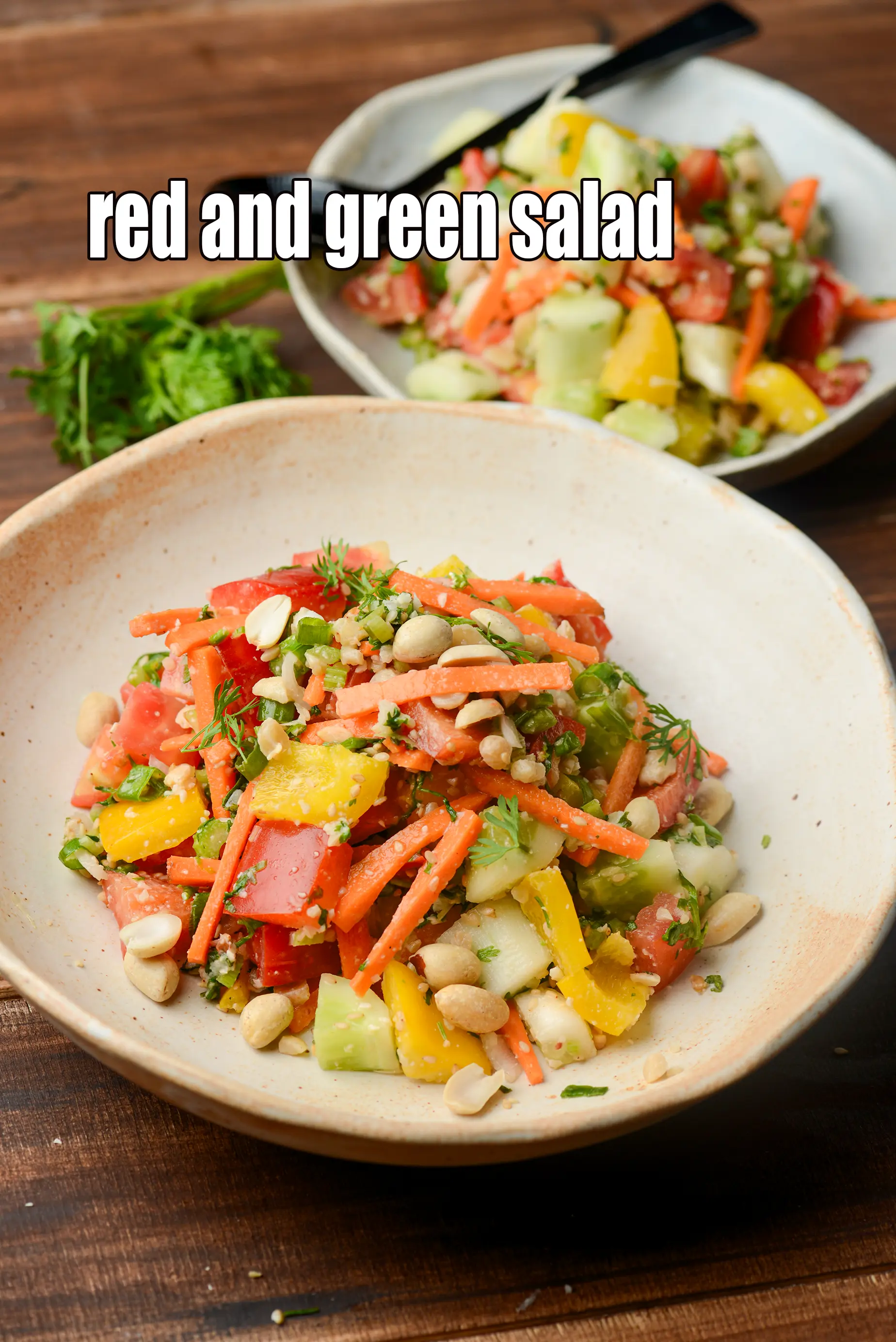 red and green salad recipe | Indian capsicum, celery and spring onions salad | healthy |