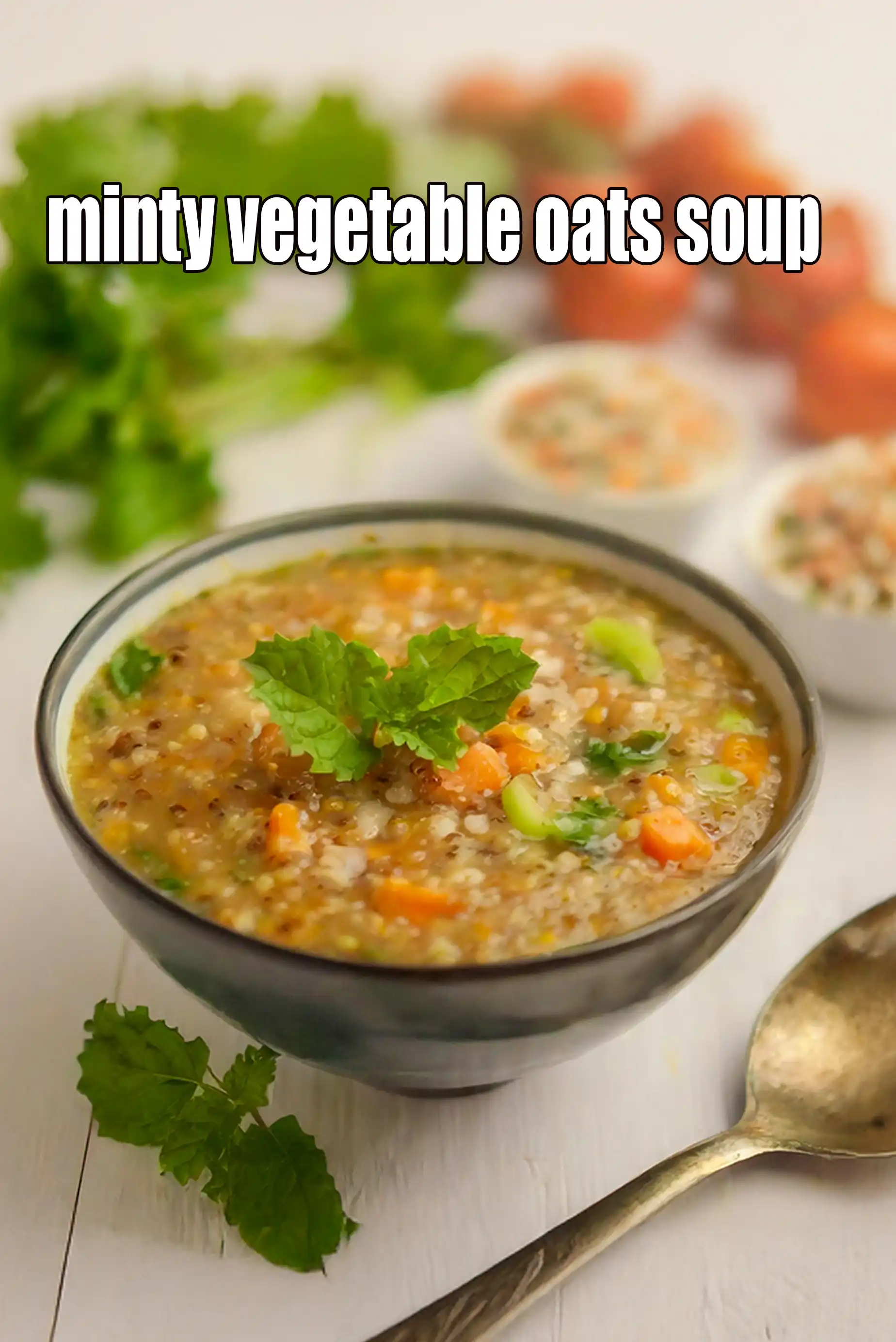 minty vegetable oats soup recipe | Indian oats vegetable soup |