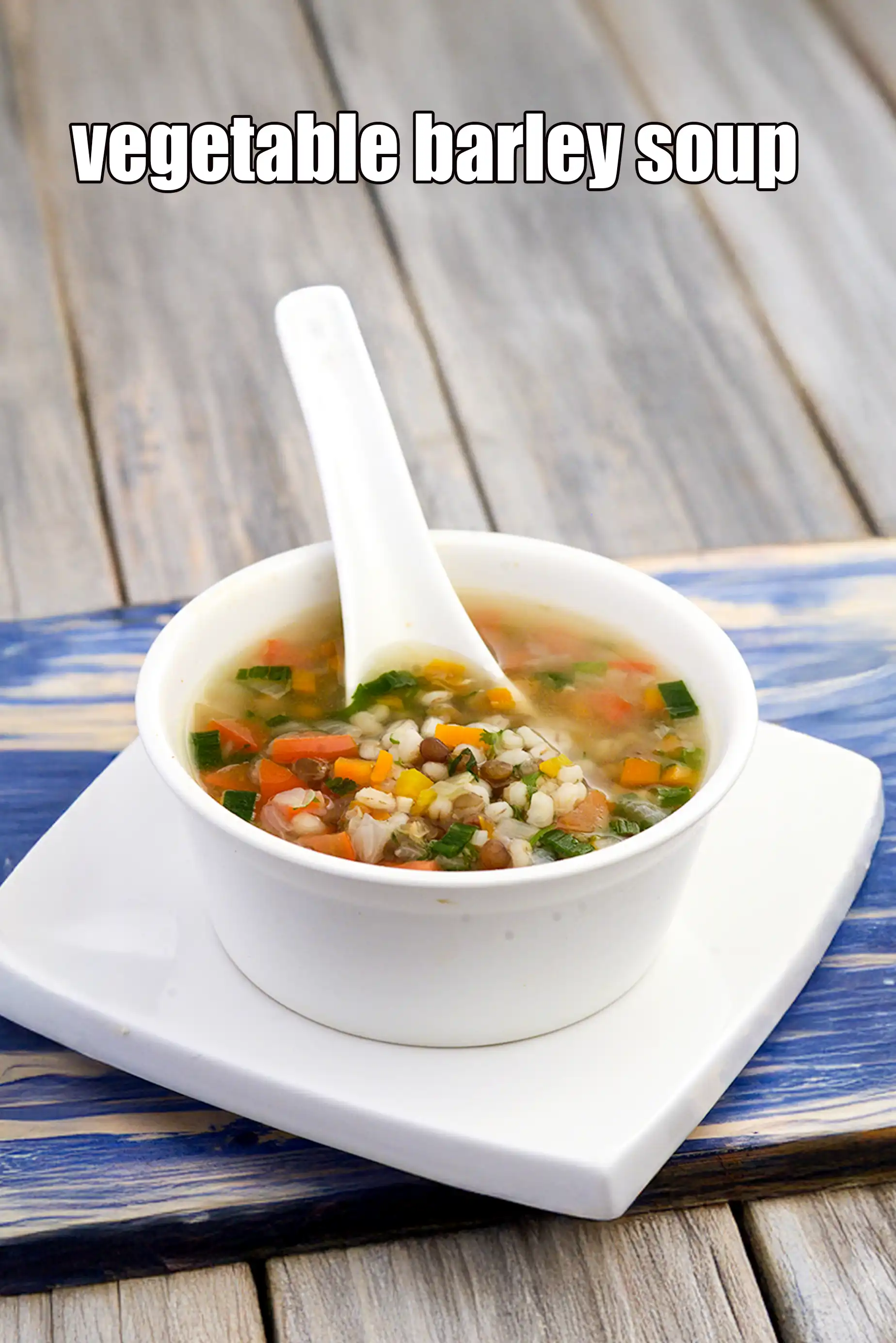 Vegetable Barley Soup | Indian style barely soup |