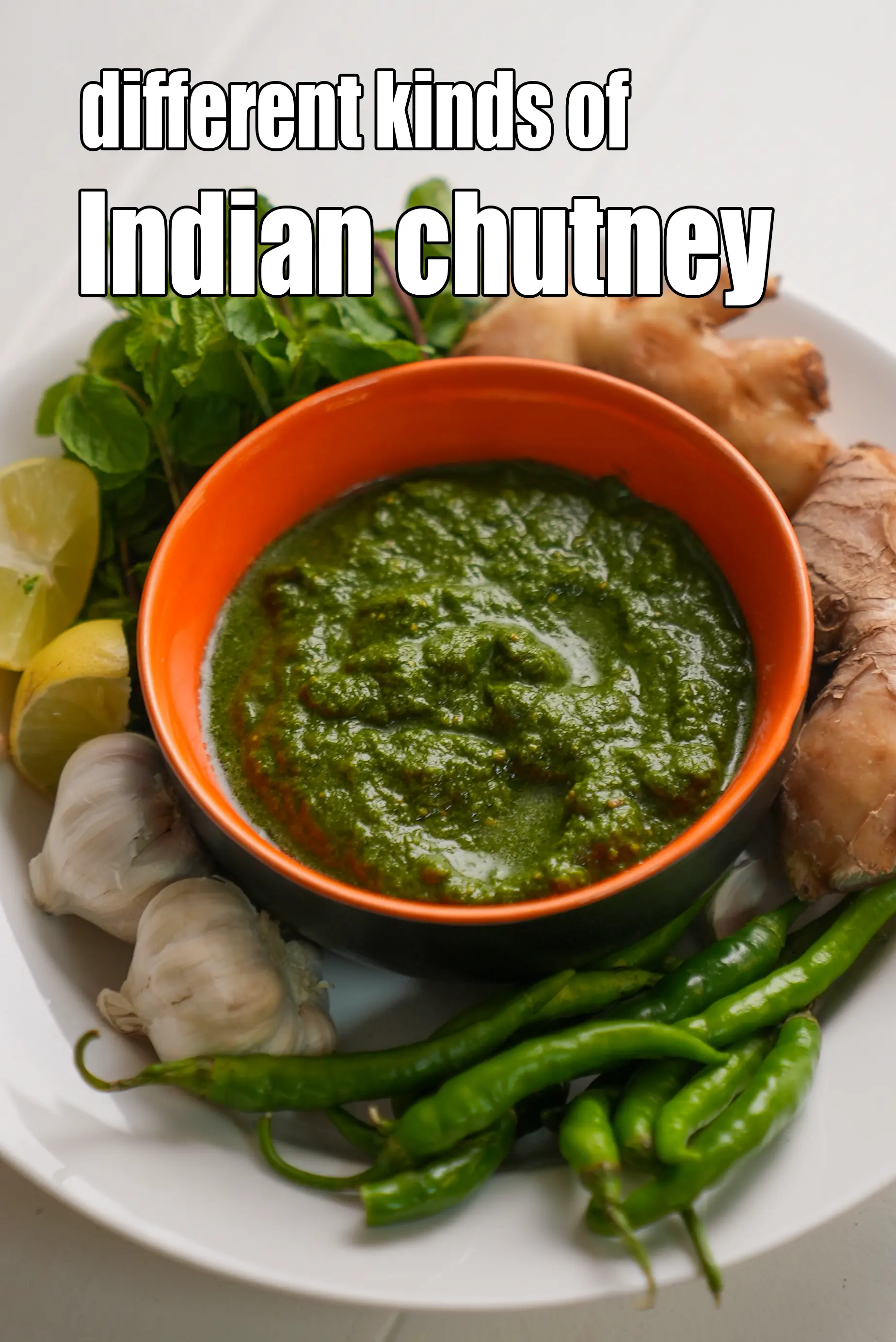 different kinds of Indian chutney
