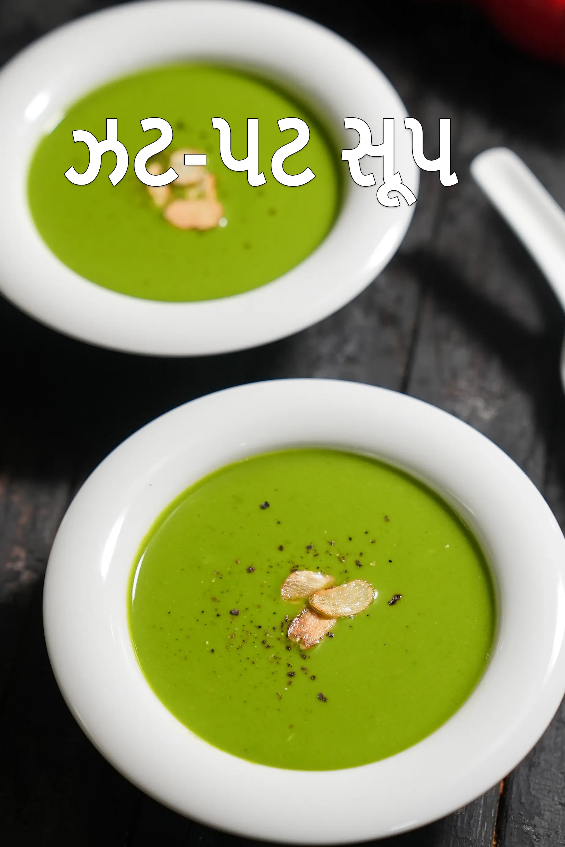 Quick Vegetarian Indian Soups