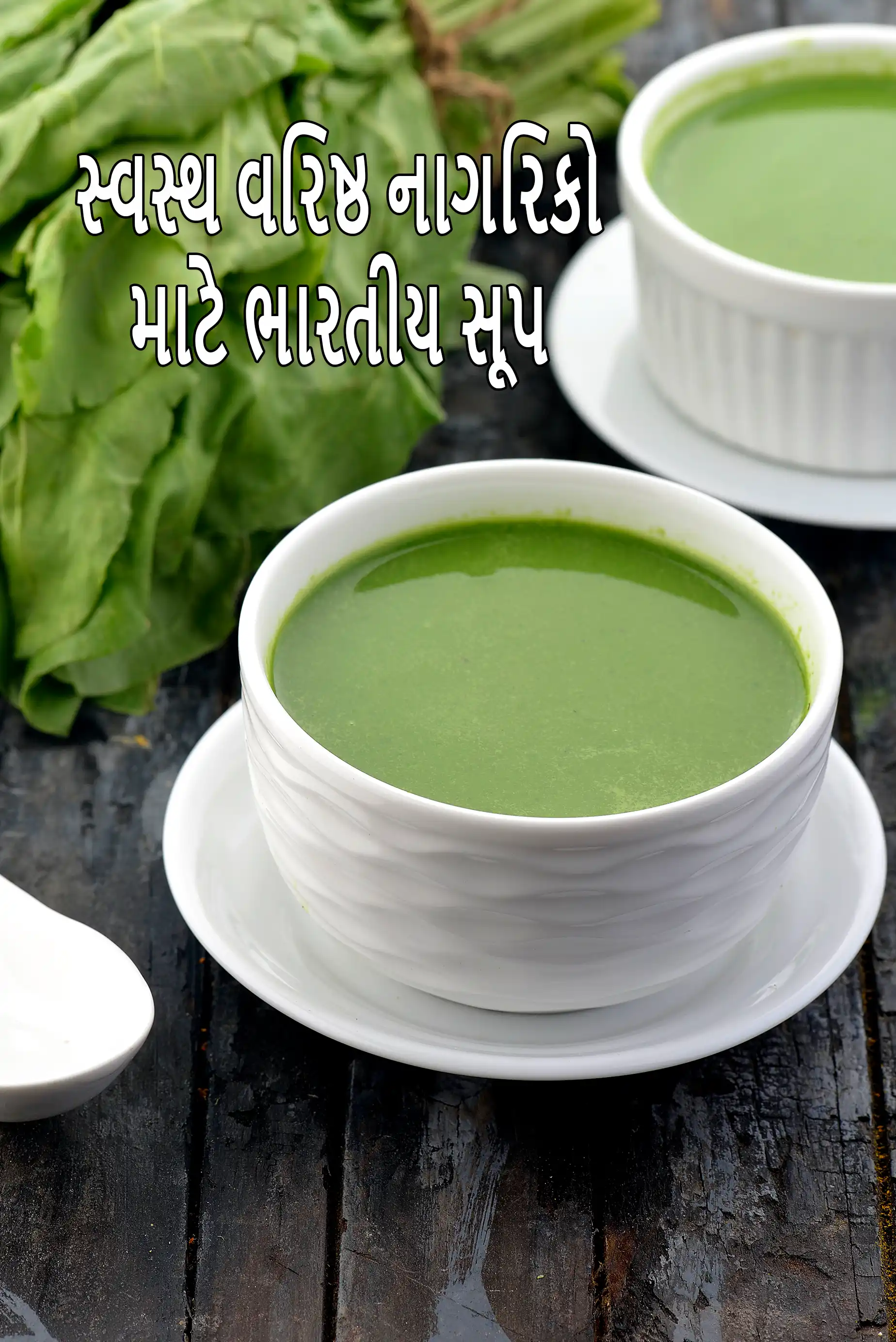 Senior Citizen Soup