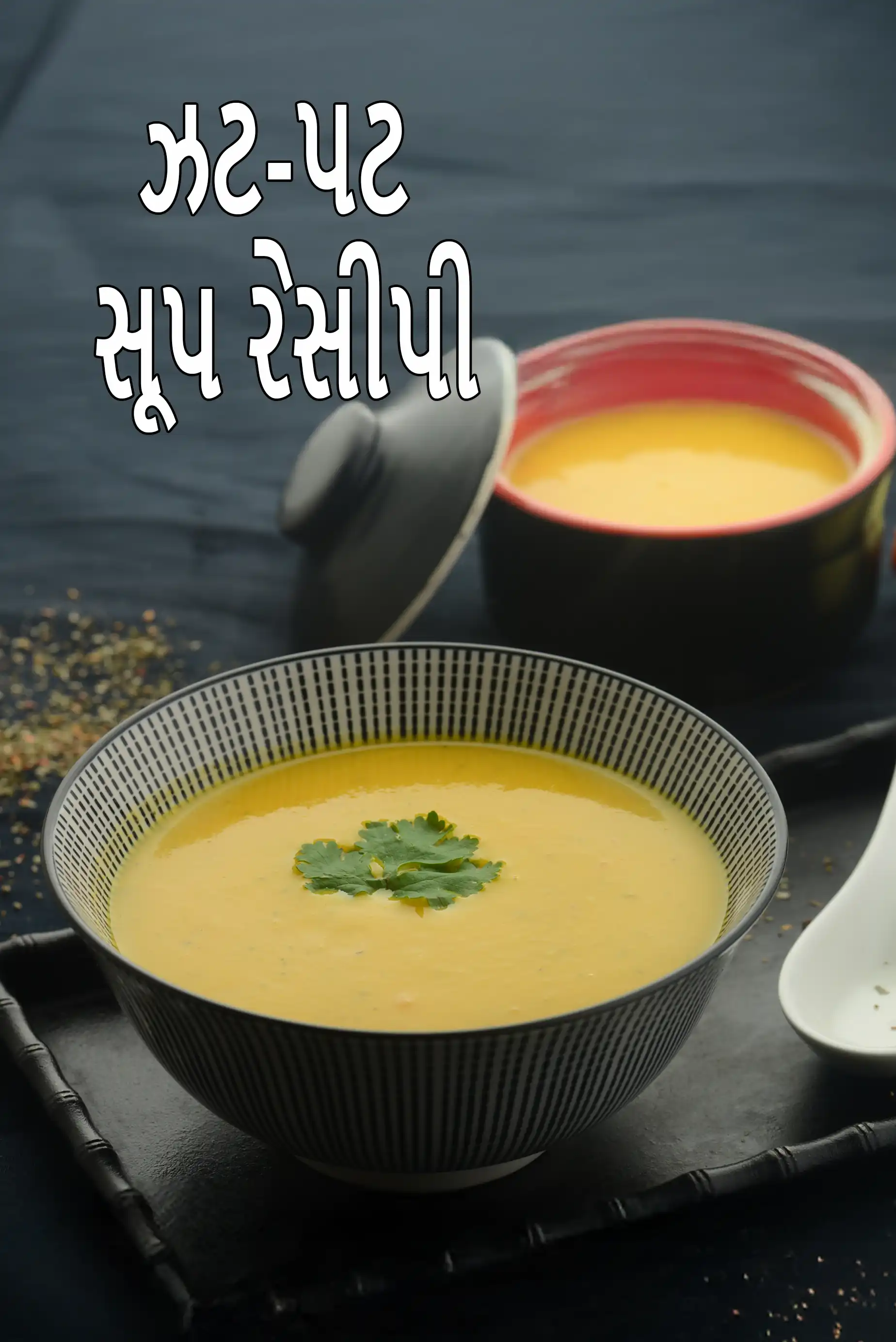 Quick Vegetarian Indian Soups
