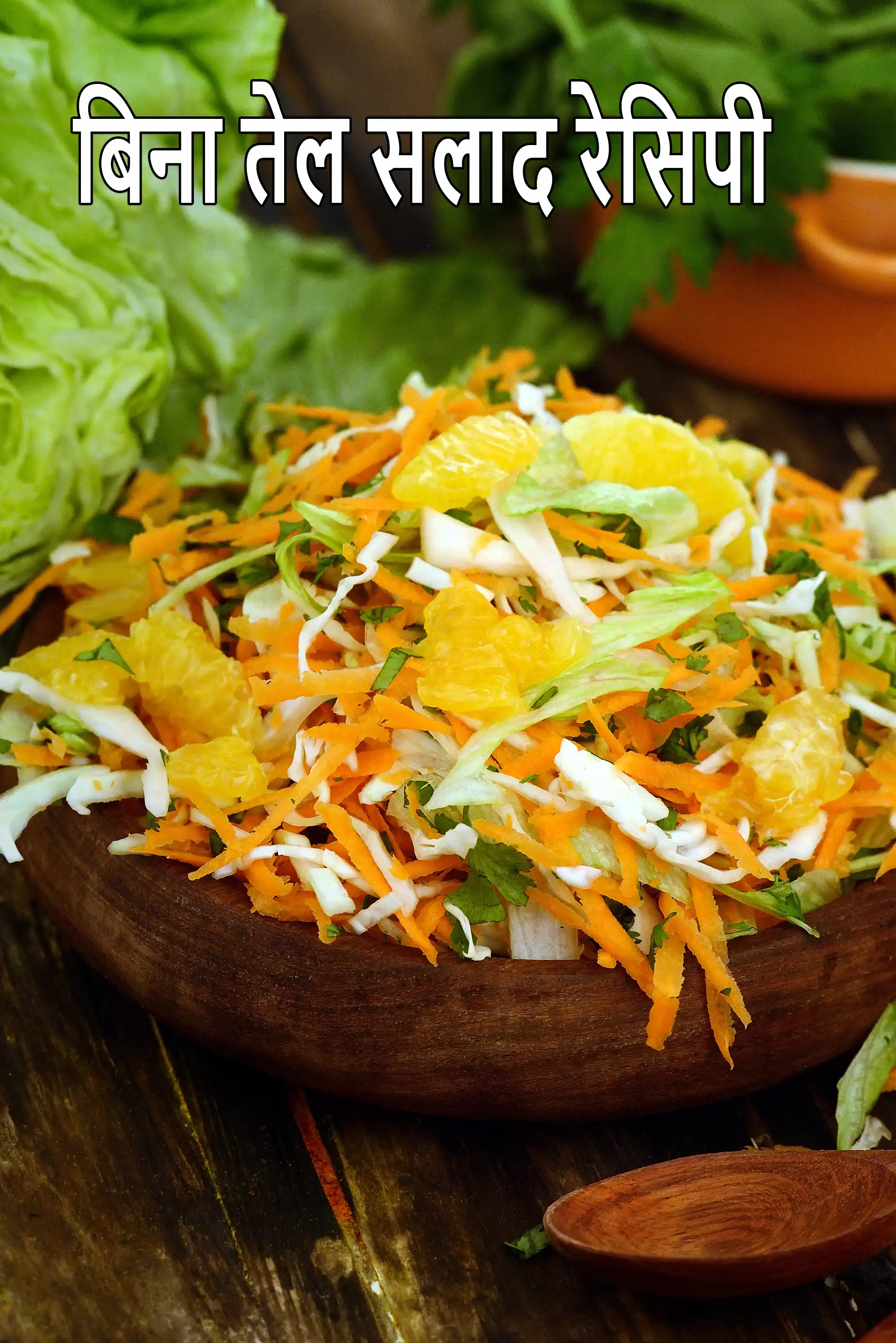 Indian Zero Oil Salads