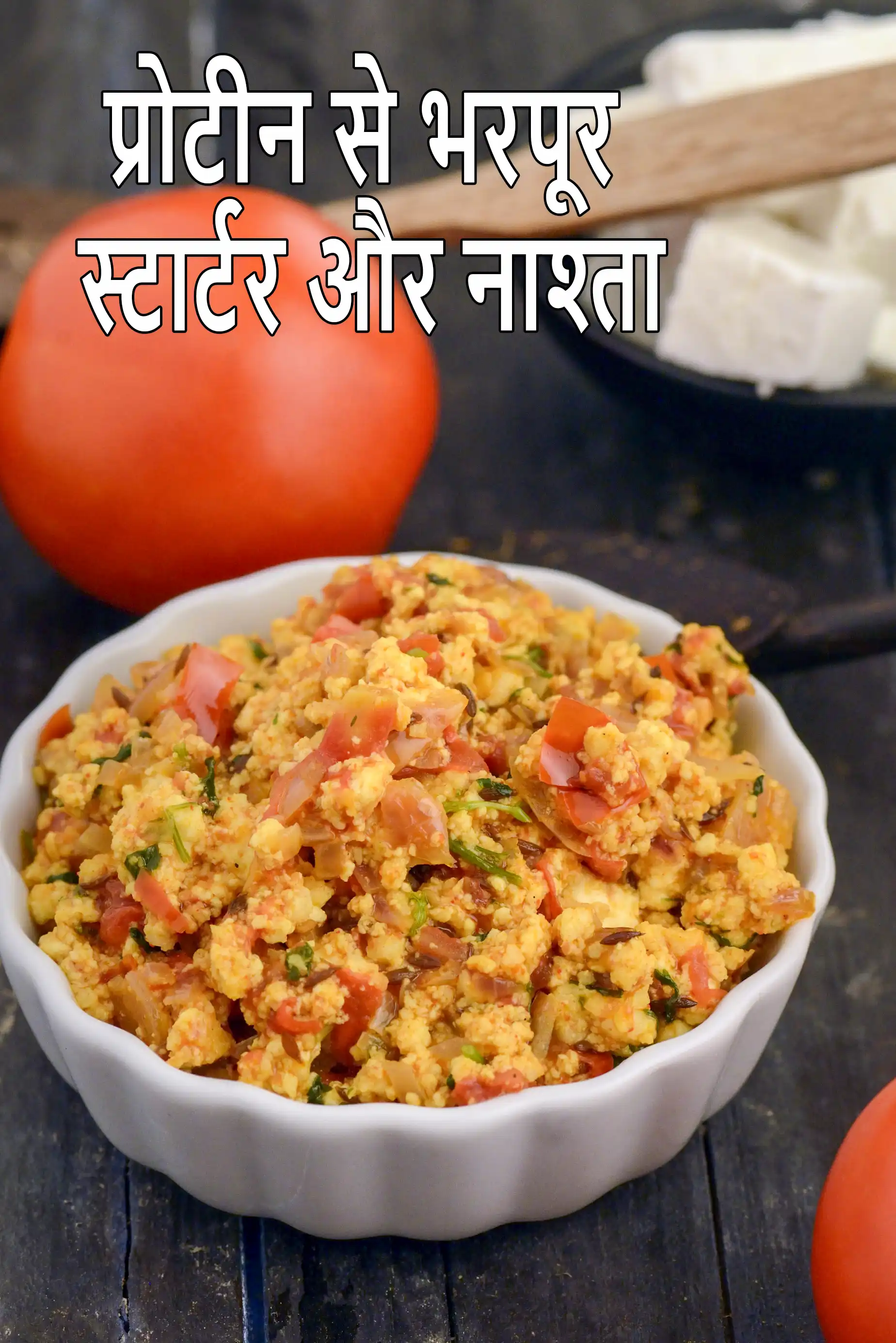 High Protein Indian Starters & Snacks