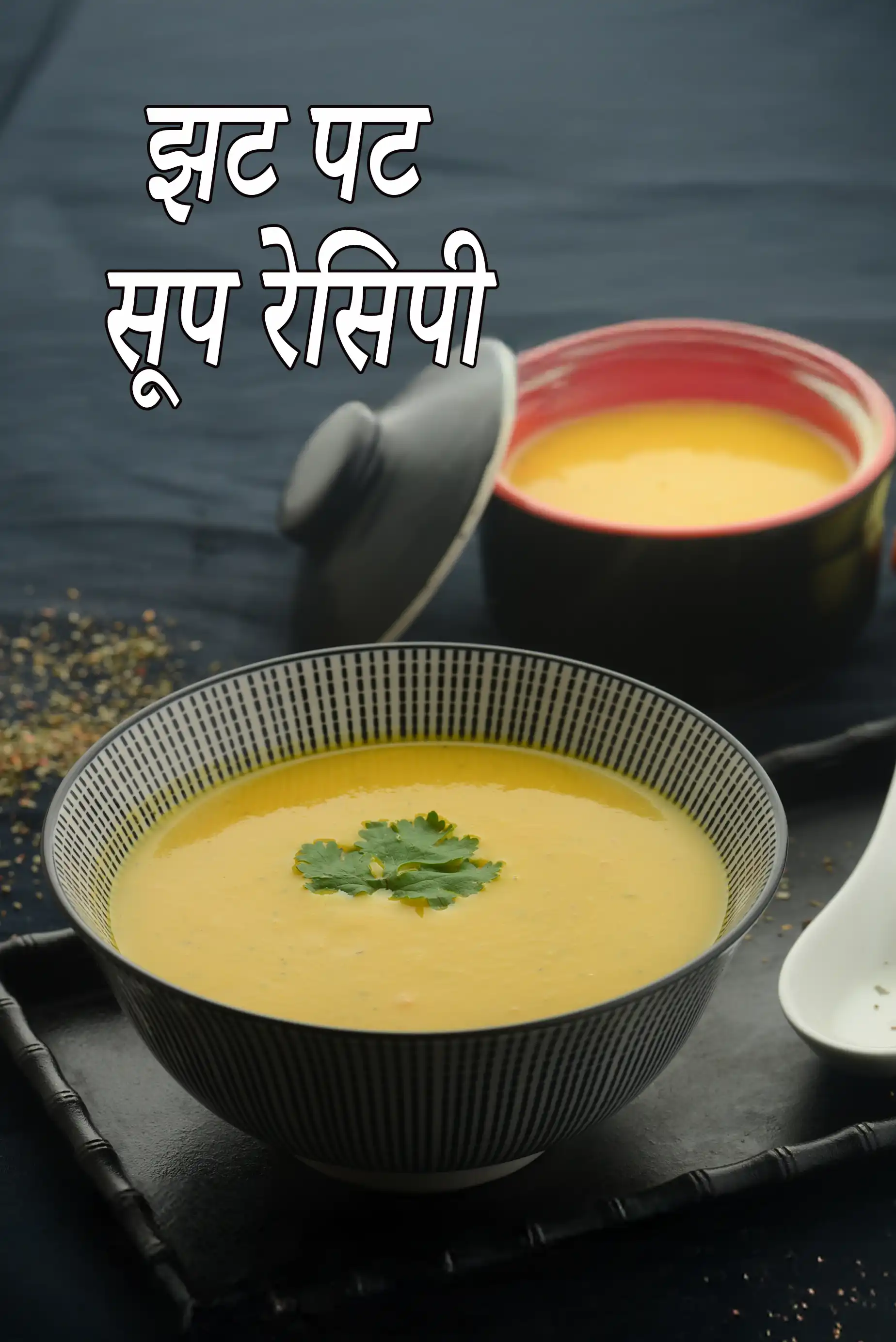 Quick Vegetarian Indian Soups