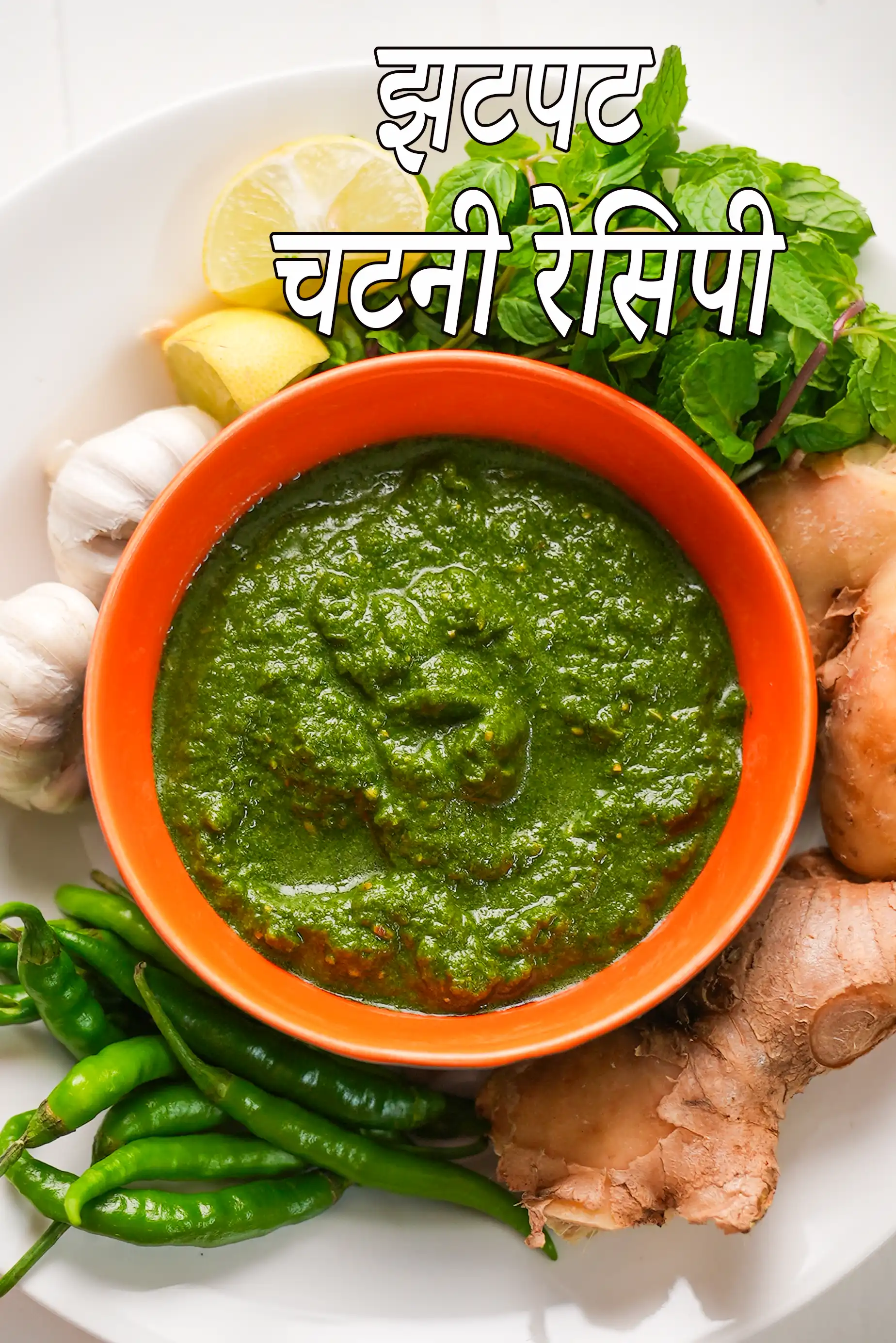 213 Quick Chutney Recipes, Quick Indian Chutney Recipes