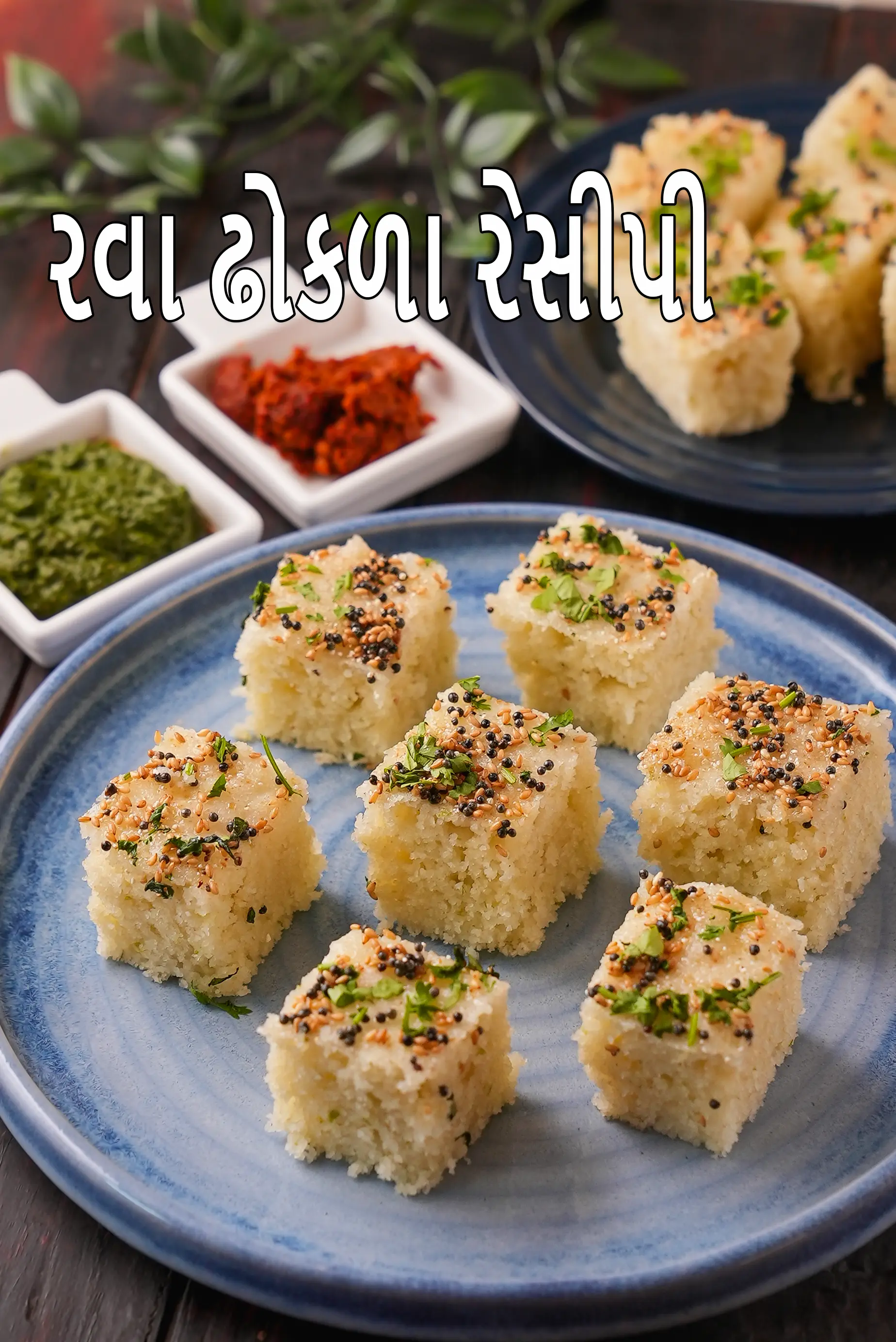 રવા ઢોકળા રેસીપી | સોજી ના ઢોકળા | ઇન્સ્ટન્ટ રવા ઢોકળા | ઝટપટ બનાવો રવા ઢોકળા | rava dhokla in Gujarati |