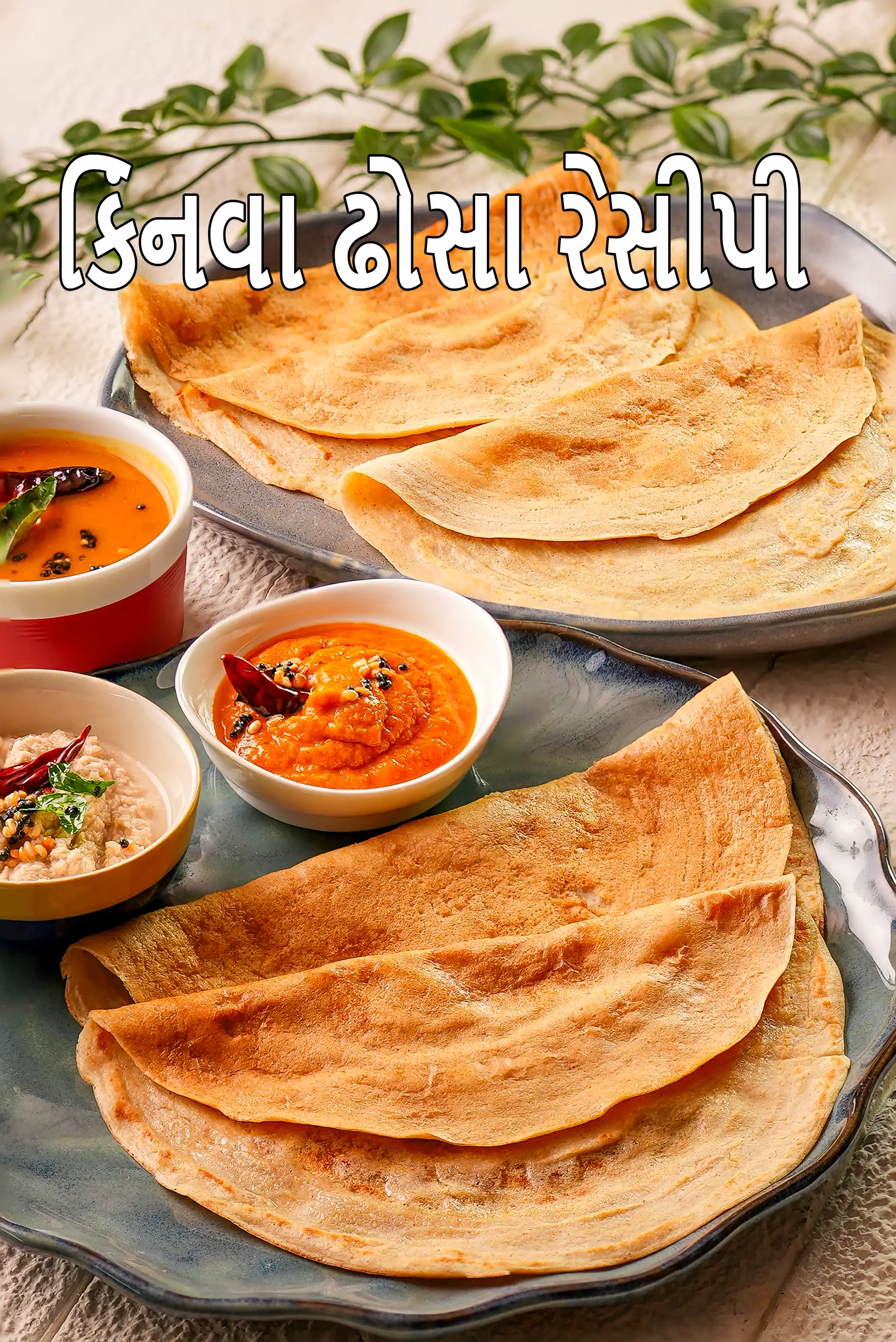 કિંનવા ઢોસા રેસીપી | સ્વસ્થ ક્વિનોઆ ઢોસા | આથો વિના ઝડપી ક્વિનોઆ ડોસા | કિંનવા અડદ દાળ અને આખા ઘઉંના લોટનો ઢોસા |