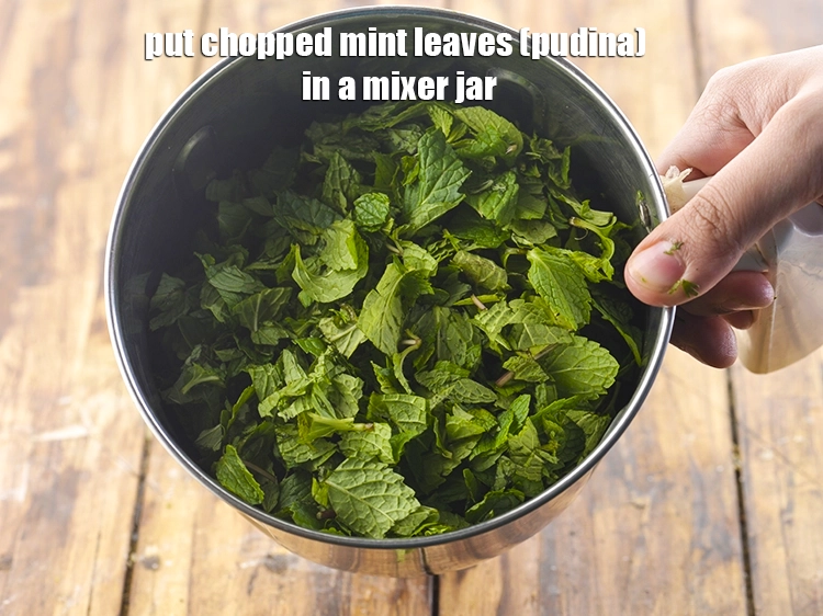 Step 10 – <p>ફુદીનાના પાનને મિક્સર જારમાં નાખો. Put the mint leaves in a mixer jar.</p>