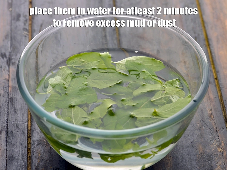 Step 4 – <p>વધારાનો કાદવ કે ધૂળ દૂર કરવા માટે તેમને ઓછામાં ઓછા 2 મિનિટ પાણીમાં મૂકો. Place …