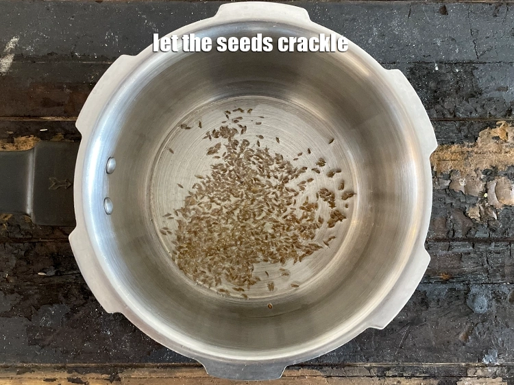 Step 13 – <p>બીજને તડતડવા દો. Let the seeds crackle.<br>&nbsp;</p>