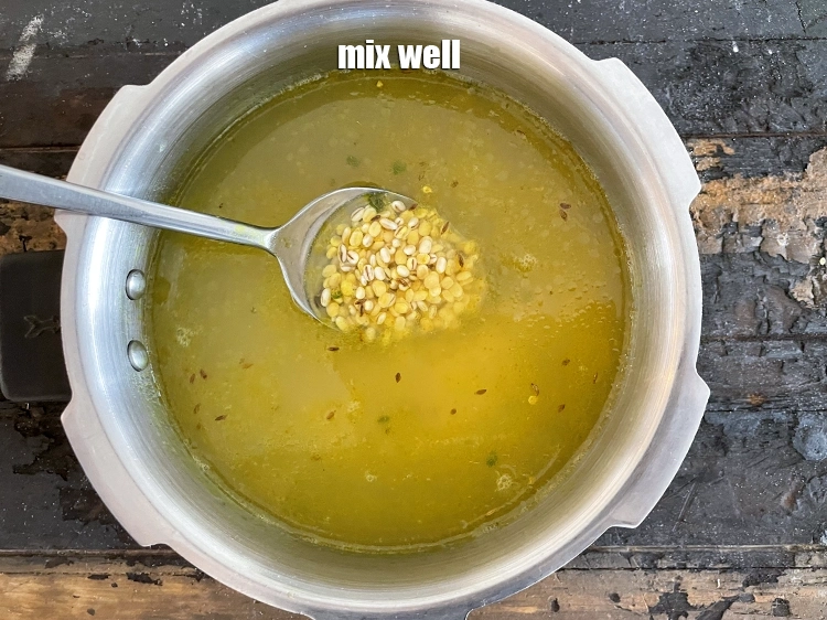 Step 23 – <p>સારી રીતે ભેળવી દો. Mix well.</p>