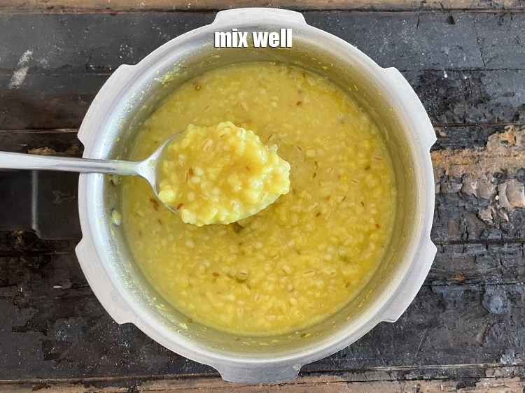 Step 26 – <p>જવ અને મગની દાળની ખીચડી મિક્સ કરો | હેલ્ધી જવ પીળી મગની દાળ ખીચડી | …