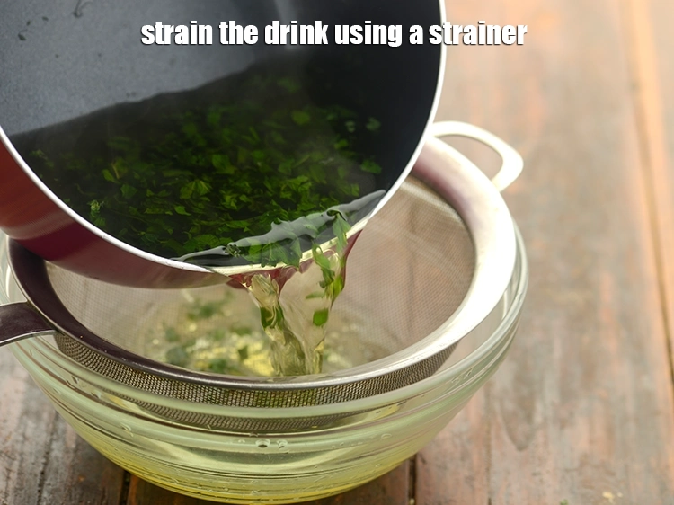 Step 17 – <p>પીણાને ગાળીને ગાળી લો. Strain the drink using a strainer.</p>