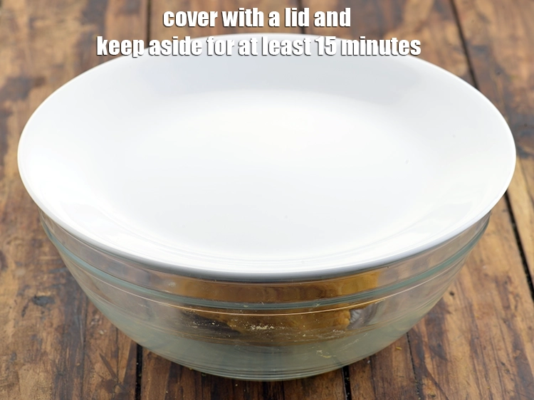 Step 10 – <p>લોટને એક બાઉલમાં મૂકો, ઢાંકણથી ઢાંકી દો અને ઓછામાં ઓછા ૧૫ મિનિટ માટે બાજુ પર …