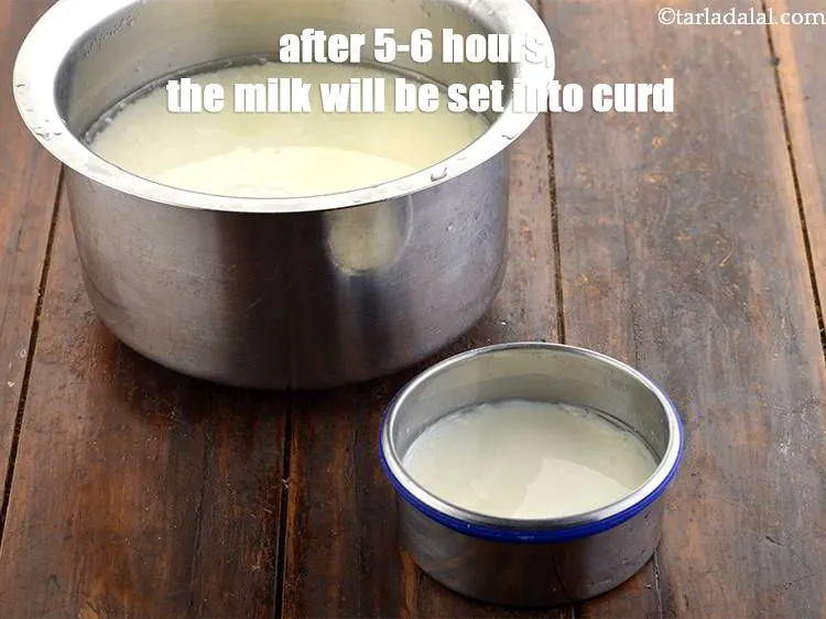 Step 13 – <p>5-6 કલાક પછી, દૂધ દહીંમાં સેટ થઈ જશે.</p>