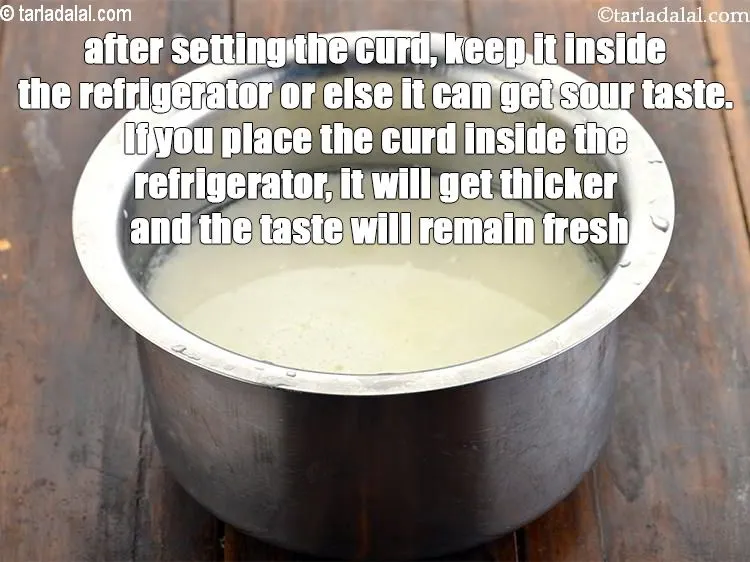 Step 14 – <p>દહીં સેટ કર્યા પછી, તેને રેફ્રિજરેટરની અંદર રાખો નહીંતર તેનો સ્વાદ ખાટો થઈ શકે છે. …
