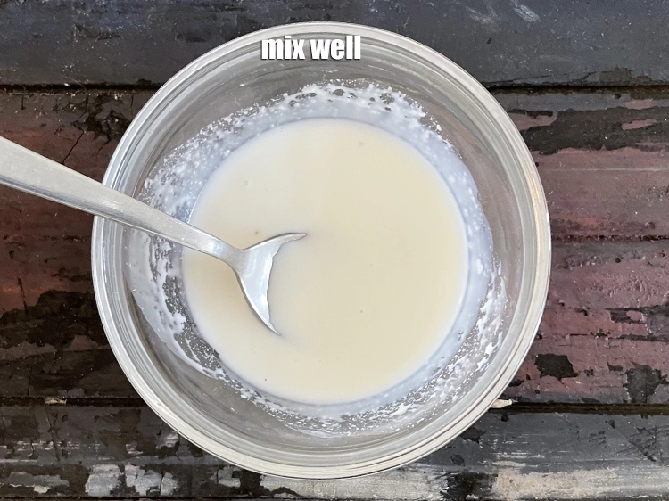 Step 3 – <p><u>બરાબર મિક્સ કરો. </u><span style="background-color:rgb(255,255,255);color:rgb(0,0,0);">Mix well.</span></p>